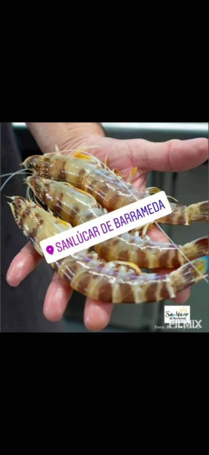 Piso De Dos Dormitorios En El Centro De Sanlucar De Barrameda Exterior photo